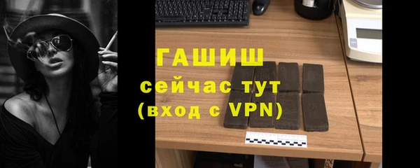 сатива Белокуриха