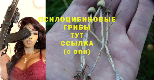 сатива Белокуриха