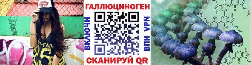 Псилоцибиновые грибы Cubensis  Кузнецк 