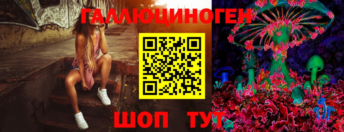 Галлюциногенные грибы мухоморы Кузнецк