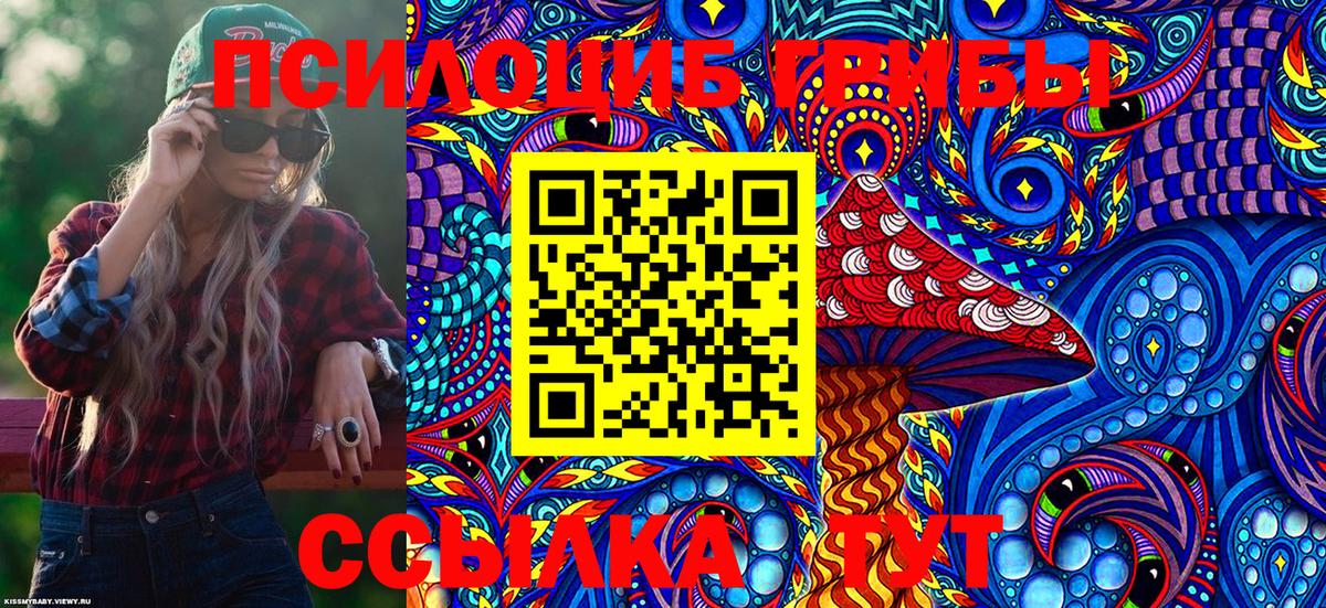 Кузнецк  Галлюциногенные грибы GOLDEN TEACHER  Вход с VPN 